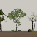 Landscape tree, courtyard tree, modeling tree, cluster arbor 3d model