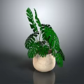 Potted Plant With Green Monstera Leaves In Beige Ceramic Pot For Home Decoration