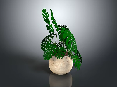 Potted Plant With Green Monstera Leaves In Beige Ceramic Pot For Home Decoration 3d model