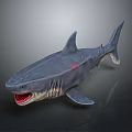 Shark Model With Open Mouth Sharp Teeth And Grey Body Texture