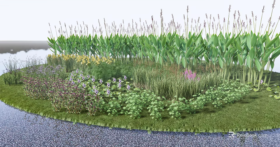 Diverse Aquatic Plants With Green Foliage And Colorful Flowers In Natural Wetland 3d model 