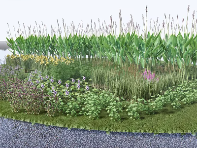 Diverse Aquatic Plants With Green Foliage And Colorful Flowers In Natural Wetland 3d model