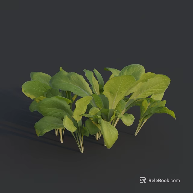 Bunch of Fresh Vibrant Bok Choy with Green Leaves and Crisp White Stems 3d model 