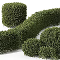 Garden Decor Featuring Small And Large Round Shaped Green Shrubs For Garden Landscaping
