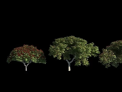 Three Arbor Trees with Varied Leaf Colors for Garden Landscape Design 3d model