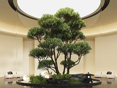 Large Indoor Bonsai Plant In Modern Space With Decorative Stones And Ambient Lighting 3d model