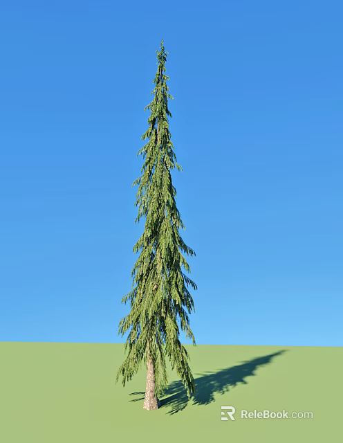 Tall Arbor With Dense Green Foliage Against Clear Blue Sky On Green Grass 3d model 