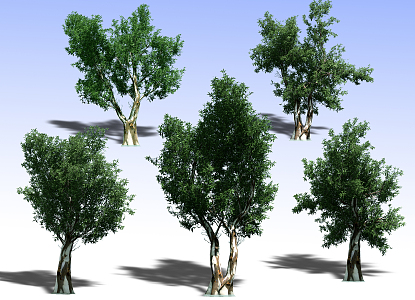 Plants 3d model