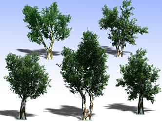 Plants 3d model