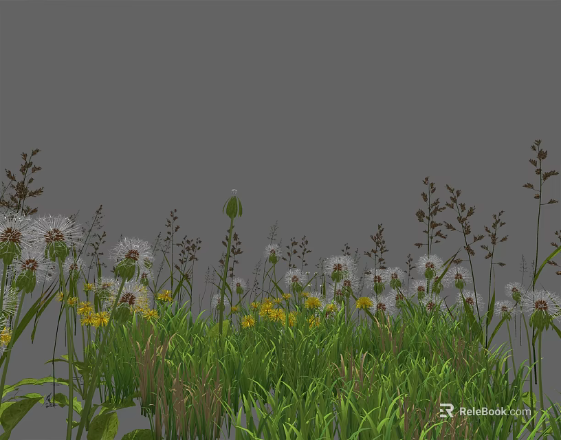 Vibrant Wildflowers With Dandelions Yellow Blooms And Green Grass In Natural Outdoor Setting 3d model 