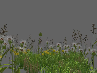 Vibrant Wildflowers With Dandelions Yellow Blooms And Green Grass In Natural Outdoor Setting 3d model