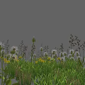 Vibrant Wildflowers With Dandelions Yellow Blooms And Green Grass In Natural Outdoor Setting