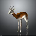 3D Orange and White Antelope Figure in Standing Stance on Dark Reflective Ground