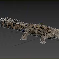 Large Spotted Crocodile with Open Mouth in Natural Aquatic Habitat Showing Scaly Body