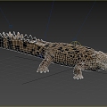 Orenac Crocodile Orenac Crocodile 3d model