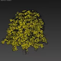 Green Leafy Tree With Lush Dense Foliage Against Gray Background 3D Rendering