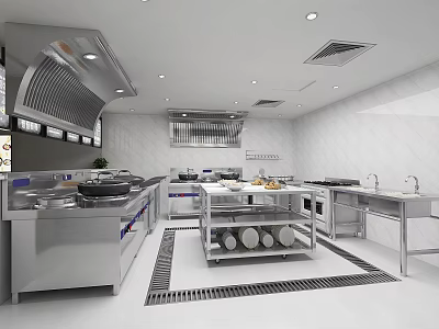 Professional Modern Kitchen Interior With Stainless Steel Appliances Island Counter Range Hood And White Floor 3d model