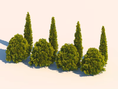 Diverse Shaped Green Arbor Trees With Lush Foliage And Natural Shadows In Outdoor 3d model