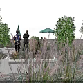 Garden Landscape Design With Lush Green Plants Stone Walkway And Gazebo Structure