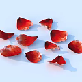 Red Rose Petals Scattered On Light Blue Background With Soft Shadows 3d model
