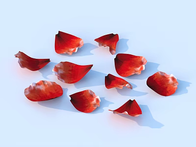 Red Rose Petals Scattered On Light Blue Background With Soft Shadows 3d model