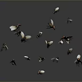 Group of Flies Flying Against Gray Background in Mid Air