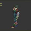 Advanced Robotic Leg Design With Blue Orange Metallic Structure And Mechanical Joints