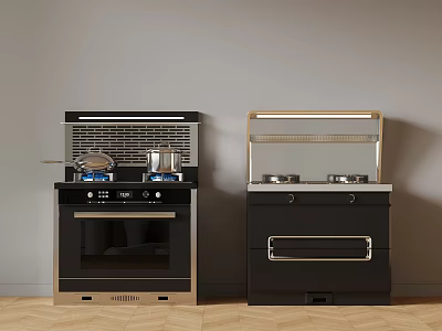 Two Stylish Black Kitchen Stove Oven Units With Gold And Silver Accents 3d model