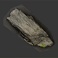 Natural Wooden Stone Slab Placed On Black Mat Featuring Green Moss Accent