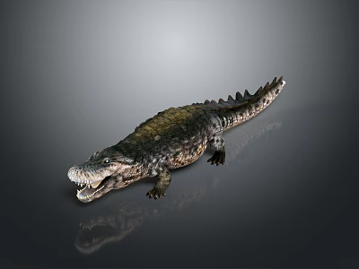Realistic Crocodile Reptile Model With Detailed Scales Open Mouth And Textured Skin 3d model