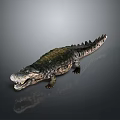 Realistic Crocodile Reptile Model With Detailed Scales Open Mouth And Textured Skin