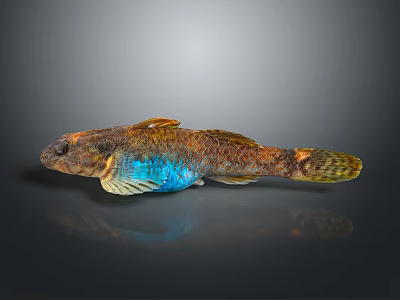 Colorful Shiny Fish Decorative Figurine With Blue Yellow Scales For Home Decor 3d model