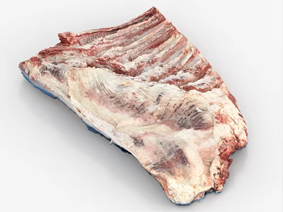 Natural Raw Pork Ribs With Fresh Meat And Bone Uncooked 3d model