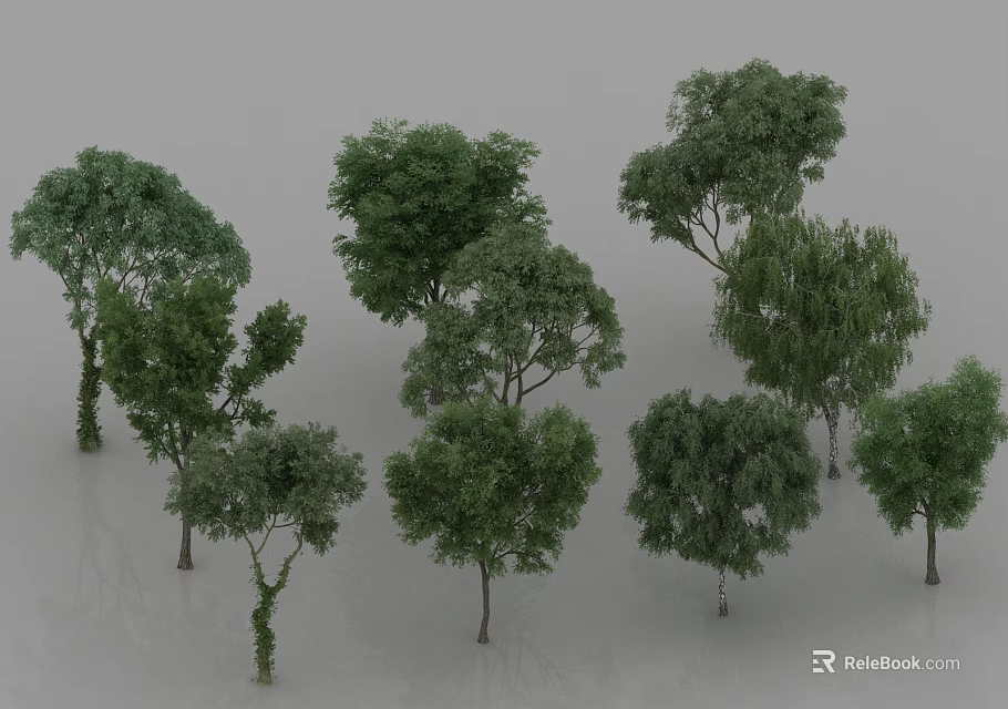 Various Green Arbor Trees 3D Models With Different Shapes And Foliage 3d model