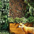 Vibrant Living Plant Wall with Lush Greenery Diverse Plants Wooden Planter Pebbles and Decorative Fox