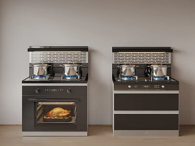 Modern Kitchen Stove Oven Appliances Side By Side With Pots And Roasted Chicken 3d model