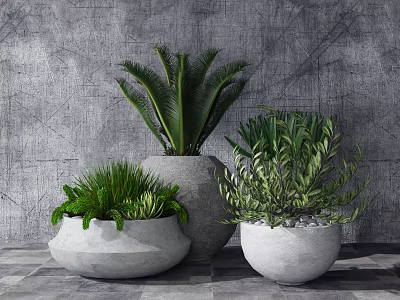 Bonsai Potted Plants With Various Green Foliage In Gray Pots Modern Minimalist Style 3d model