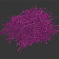 Natural Raw Wood Branches And Twigs Pile For Craft Or Firewood Material
