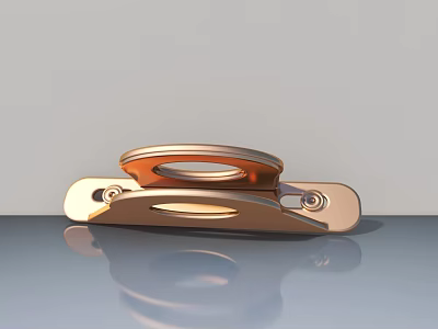 Copper Colored Metal Hinged Door With Glossy Surface And Reflection Design 3d model
