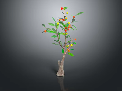 Decorative Plant with Brown Trunk Green Leaves Red and Yellow Fruits Against Dark Background 3d model
