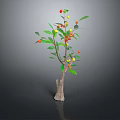 Decorative Plant with Brown Trunk Green Leaves Red and Yellow Fruits Against Dark Background