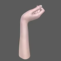 Anatomically Detailed Human Hand with Palm Up and Naturally Curved Fingers Against Gray Background