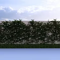 Lush Green Plant Wall with White Flowers and Foliage on Exterior Wall Under Blue Sky