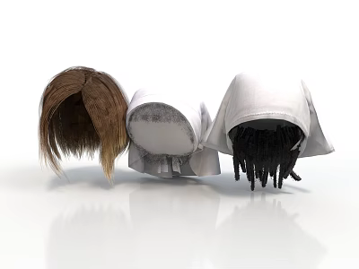 Brown Gray And White Wigs With Long Hair Styles For Daily Fashion Use 3d model