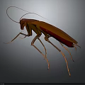 3D Rendered Red Brown Cockroach With Long Antennae And Legs On Grey Surface
