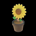 Bright Yellow Sunflower Plant In Black Flower Pot With Green Leaves And Stem