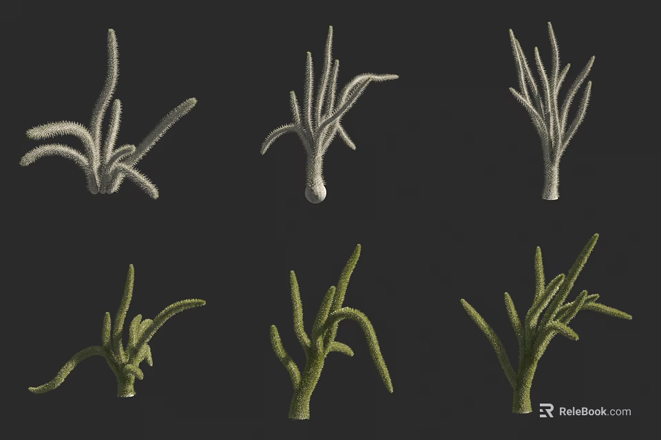 Arbor Tree Branches in Various Forms with White and Green on Dark Background 3d model