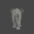 Gray Elephant With White Tusks Standing In Savanna Under Blue Sky