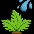 Fresh Green Plant Leaves With Water Droplets Falling From Above