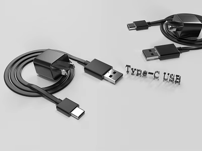 High Quality USB Type C Charging Cables And Chargers For Computers 3d model